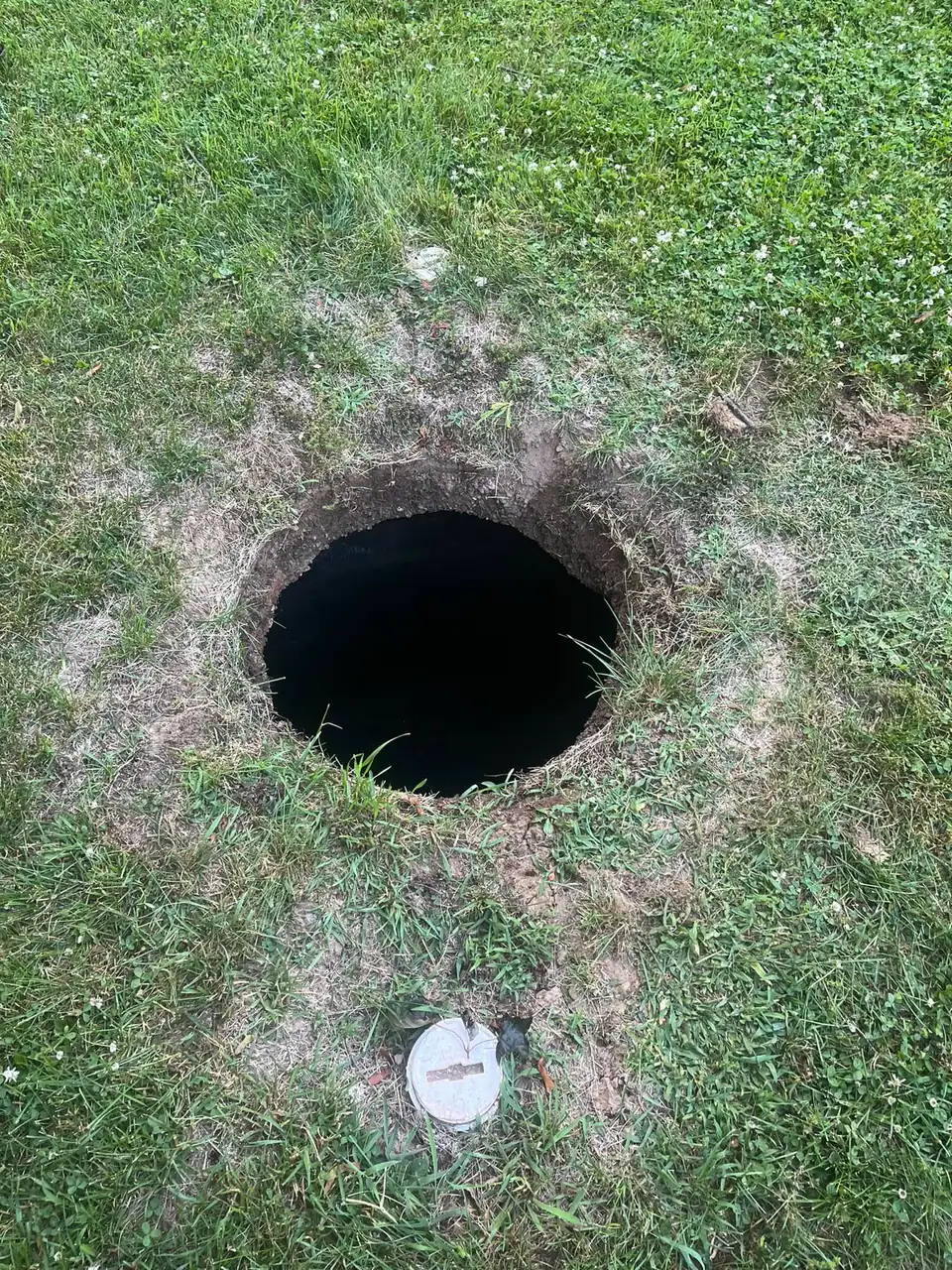 Dark circular opening in green lawn with white object below it