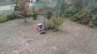 Orange tracked equipment on bare dirt ground surrounded by trees and residential structures.